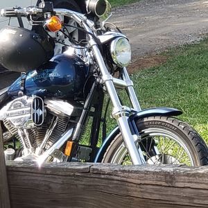 Meet your Posher, Jerry